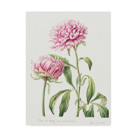 Janneke Brinkman-Salentijn 'July Bouquet' Canvas Art,24x32